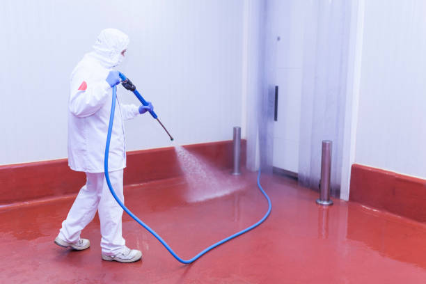 Best Restaurant Pressure Washing  in Willmar, MN